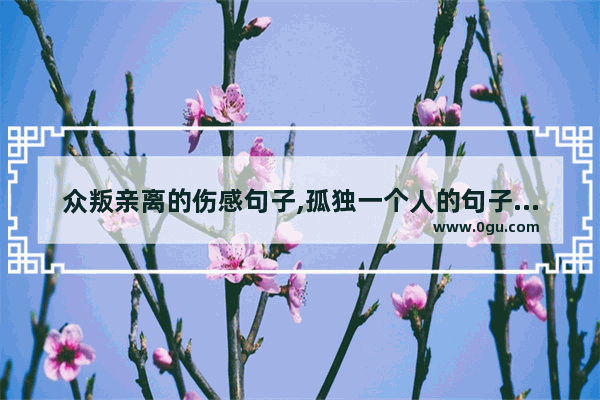 众叛亲离的伤感句子,孤独一个人的句子伤感说说