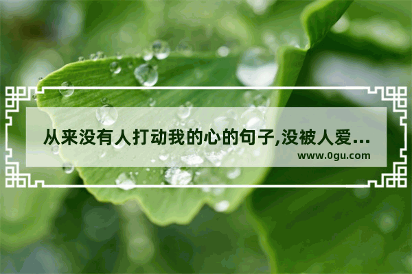 从来没有人打动我的心的句子,没被人爱的句子说说心情