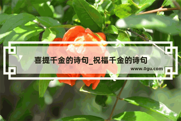喜提千金的诗句_祝福千金的诗句