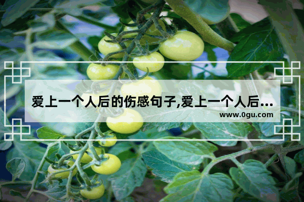 爱上一个人后的伤感句子,爱上一个人后的伤感句子