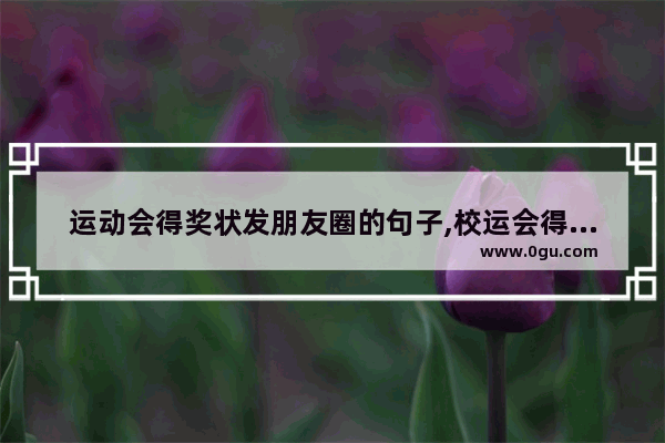 运动会得奖状发朋友圈的句子,校运会得奖的搞笑句子