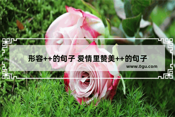 形容++的句子 爱情里赞美++的句子