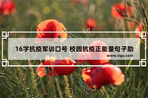 16字抗疫军训口号 校园抗疫正能量句子励志