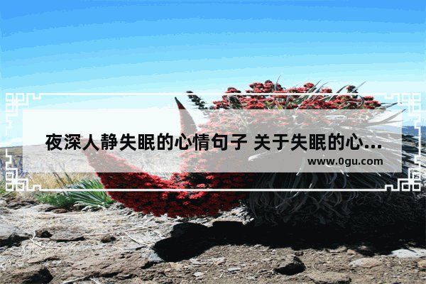 夜深人静失眠的心情句子 关于失眠的心情不好句子