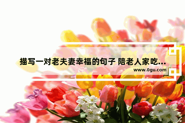 描写一对老夫妻幸福的句子 陪老人家吃饭的幸福的句子