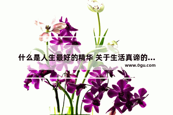 什么是人生最好的精华 关于生活真谛的金句子