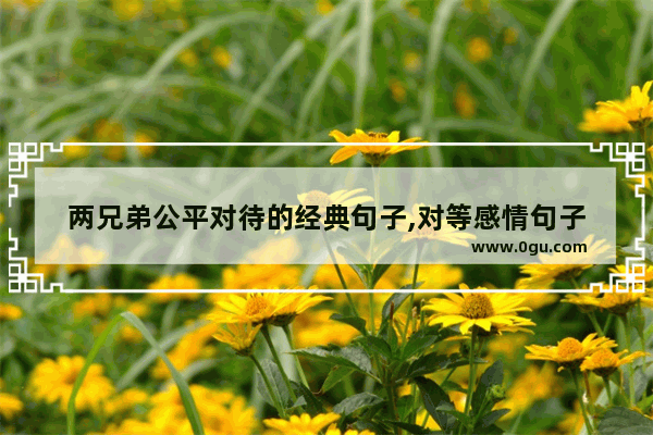 两兄弟公平对待的经典句子,对等感情句子