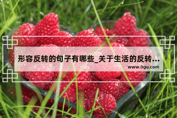 形容反转的句子有哪些_关于生活的反转句子