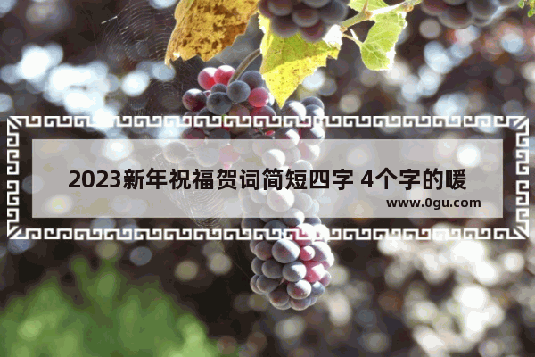 2023新年祝福贺词简短四字 4个字的暖心句子祝福