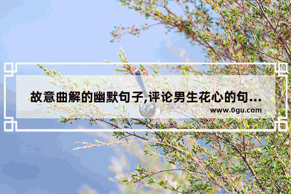 故意曲解的幽默句子,评论男生花心的句子搞笑