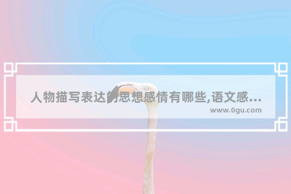 人物描写表达的思想感情有哪些,语文感情句子