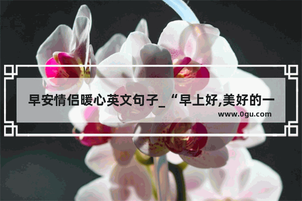 早安情侣暖心英文句子_“早上好,美好的一天从我的问候开始”用英语怎么写