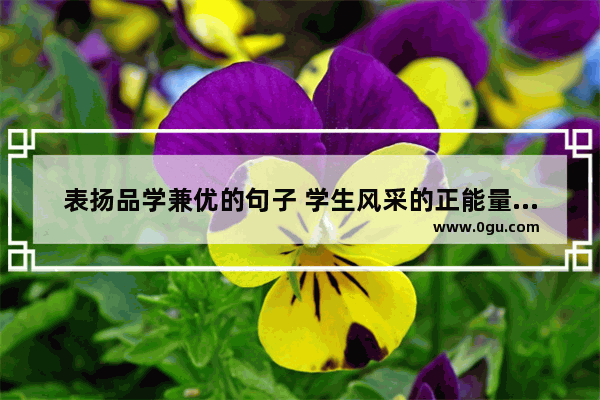 表扬品学兼优的句子 学生风采的正能量句子