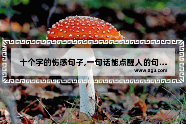 十个字的伤感句子,一句话能点醒人的句子伤感