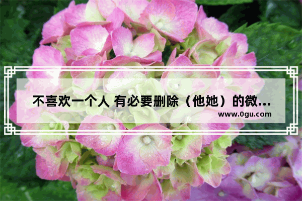 不喜欢一个人 有必要删除（他她）的微信吗,爱一个人要放手吗句子伤感