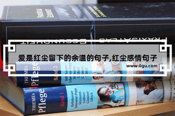 爱是红尘留下的余温的句子,红尘感情句子