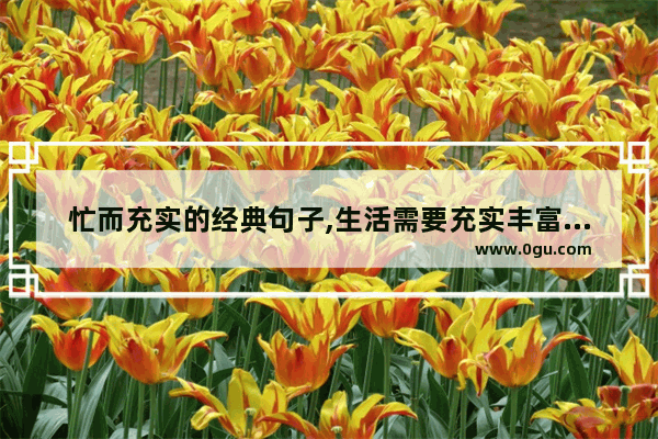 忙而充实的经典句子,生活需要充实丰富的句子