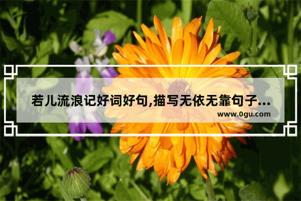 若儿流浪记好词好句,描写无依无靠句子唯美
