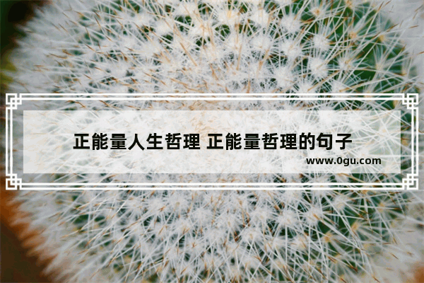 正能量人生哲理 正能量哲理的句子