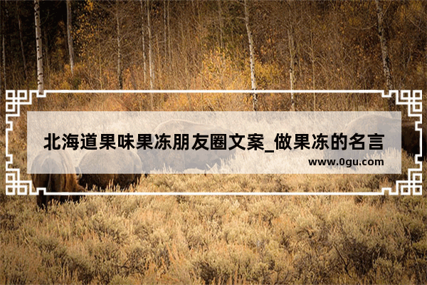 北海道果味果冻朋友圈文案_做果冻的名言