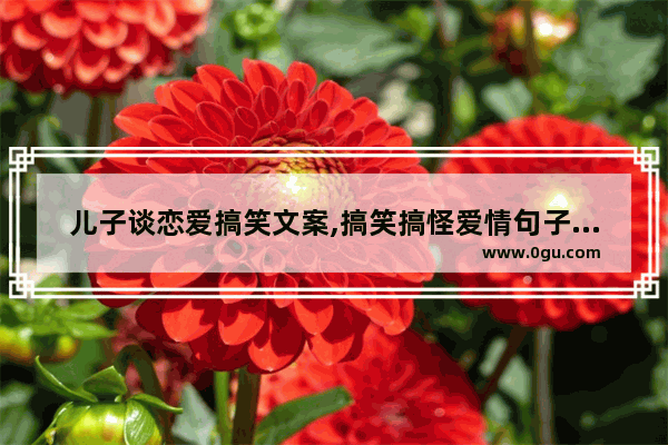 儿子谈恋爱搞笑文案,搞笑搞怪爱情句子长句