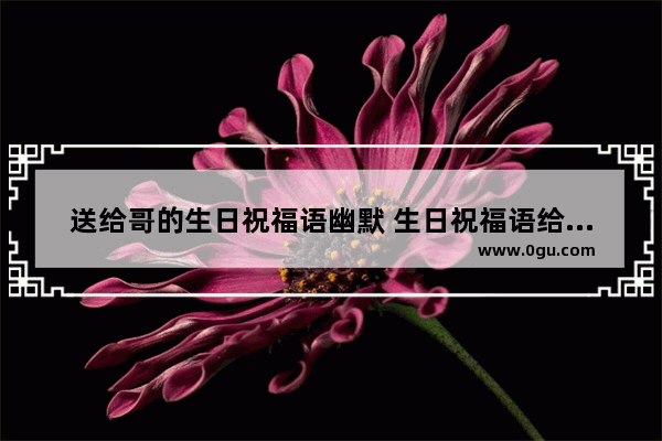送给哥的生日祝福语幽默 生日祝福语给弟弟搞笑句子