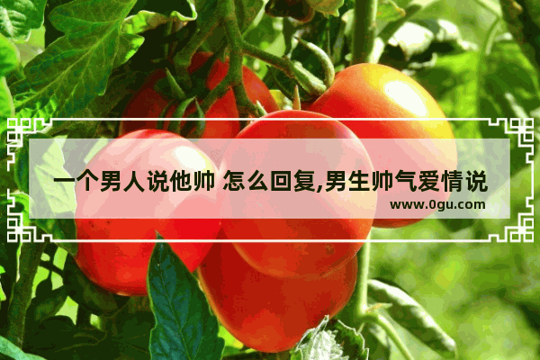 一个男人说他帅 怎么回复,男生帅气爱情说说句子
