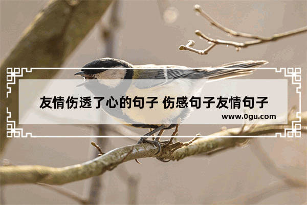 友情伤透了心的句子 伤感句子友情句子