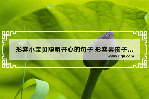 形容小宝贝聪明开心的句子 形容男孩子喜欢笑的句子