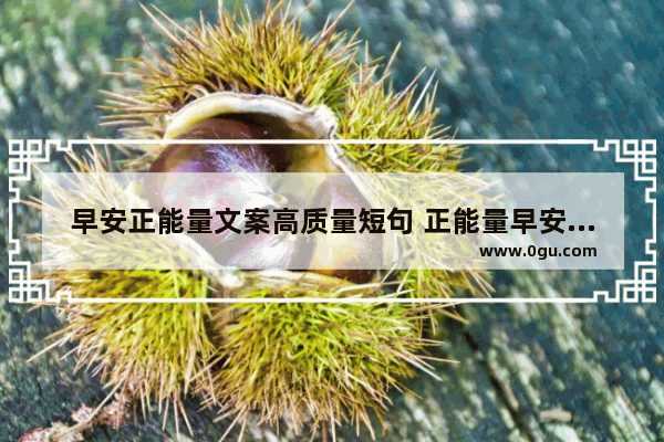 早安正能量文案高质量短句 正能量早安句子问候语简短
