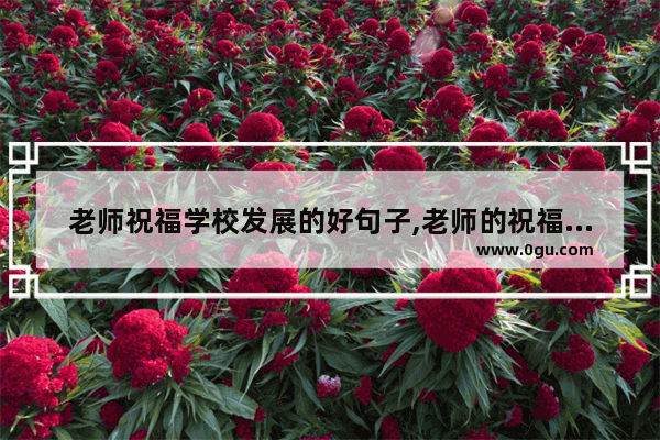 老师祝福学校发展的好句子,老师的祝福语过年的句子