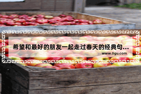 希望和最好的朋友一起走过春天的经典句子有哪些_关于欢迎美好祝愿的句子