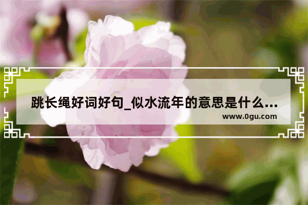 跳长绳好词好句_似水流年的意思是什么意思