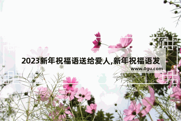 2023新年祝福语送给爱人,新年祝福语发给爱的人句子