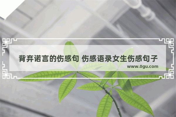 背弃诺言的伤感句 伤感语录女生伤感句子