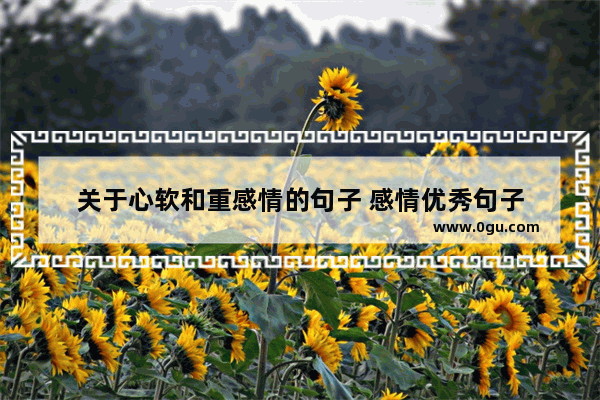 关于心软和重感情的句子 感情优秀句子