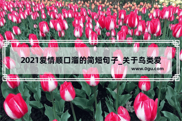 2021爱情顺口溜的简短句子_关于鸟类爱情的句子