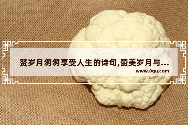 赞岁月匆匆享受人生的诗句,赞美岁月与人生的句子诗句