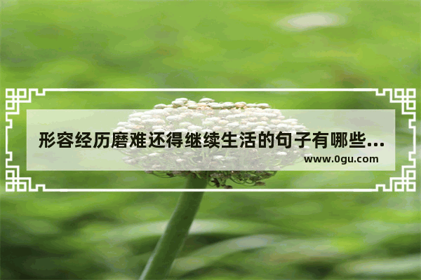 形容经历磨难还得继续生活的句子有哪些_形容幼儿园生活多姿多彩的句子