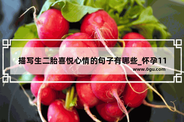 描写生二胎喜悦心情的句子有哪些_怀孕11周妈妈的心情句子
