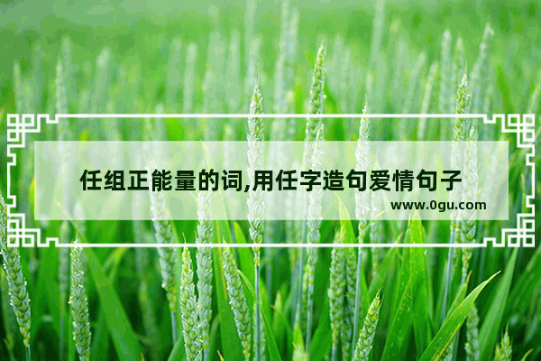 任组正能量的词,用任字造句爱情句子