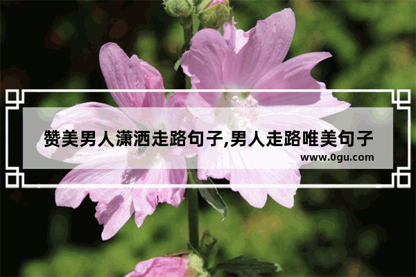 赞美男人潇洒走路句子,男人走路唯美句子