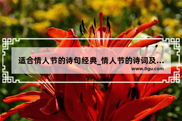 适合情人节的诗句经典_情人节的诗词及情话