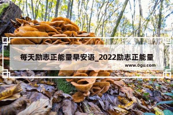 每天励志正能量早安语_2022励志正能量朋友圈早安短句