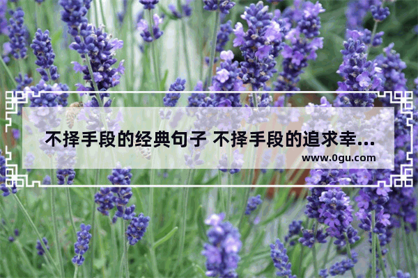 不择手段的经典句子 不择手段的追求幸福的句子