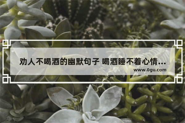 劝人不喝酒的幽默句子 喝酒睡不着心情低落的句子