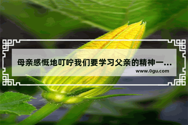母亲感慨地叮咛我们要学习父亲的精神一句中父亲的精神指什么,感慨父亲句子唯美