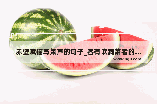 赤壁赋描写箫声的句子_客有吹洞箫者的句式和意思