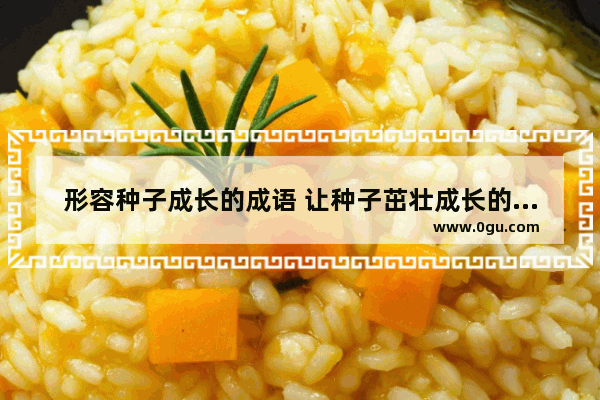 形容种子成长的成语 让种子茁壮成长的祝福句子