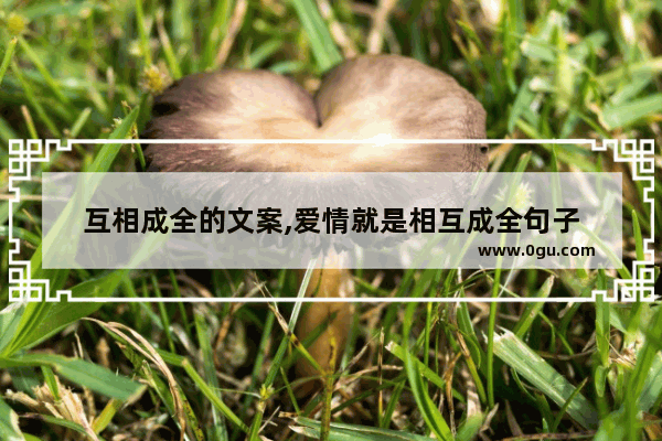 互相成全的文案,爱情就是相互成全句子